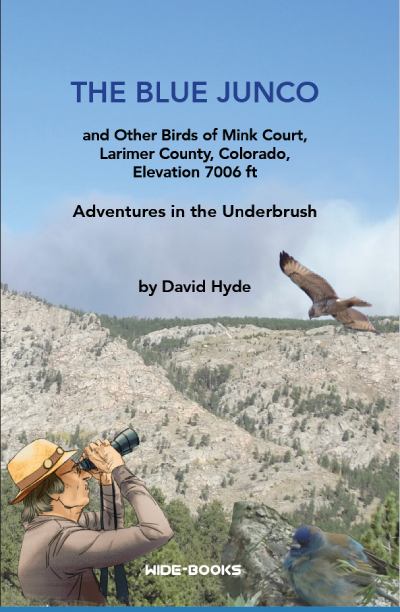 The Blue Junco book cover